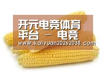 产品名称五