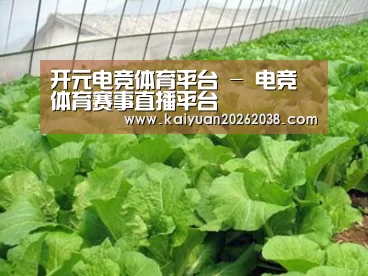 种植基地一