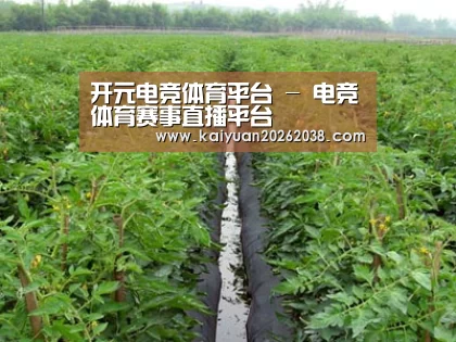 种植基地三