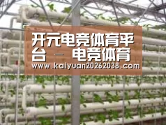 环境展示六