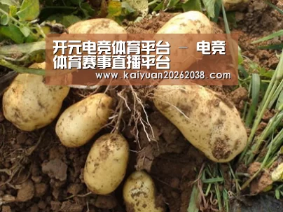 种植基地六