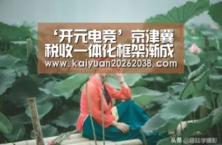 ‘开元电竞’京津冀税收一体化框架渐成 纳税信息将互联互通(图3) 开元体育
