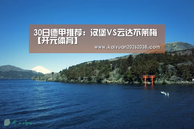 30日德甲推荐:汉堡VS云达不莱梅【开元体育】(图2) 开元电竞