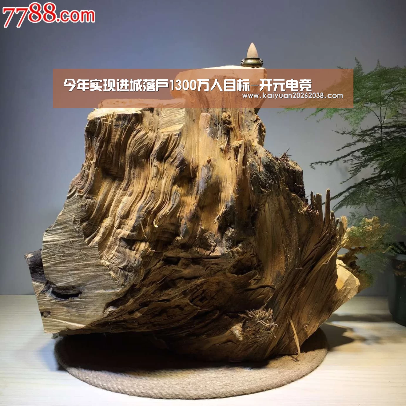 今年实现进城落户1300万人目标-开元电竞(图1) 开元棋牌