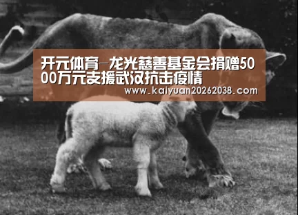 开元电竞